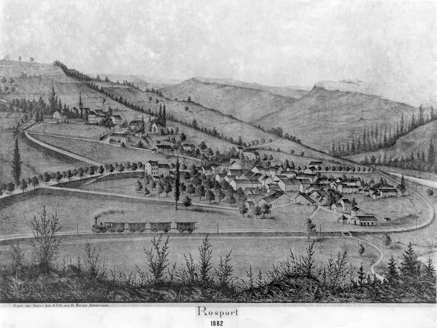 rosport 1882 web