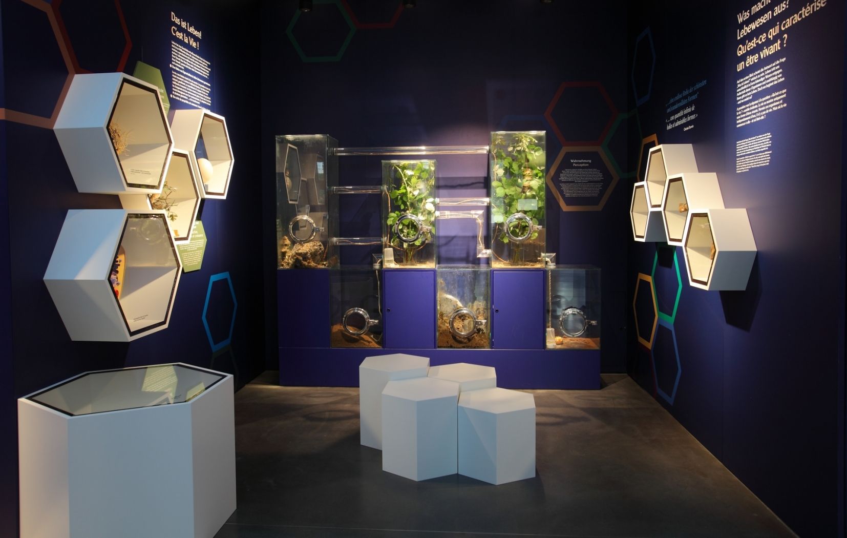 natur musée