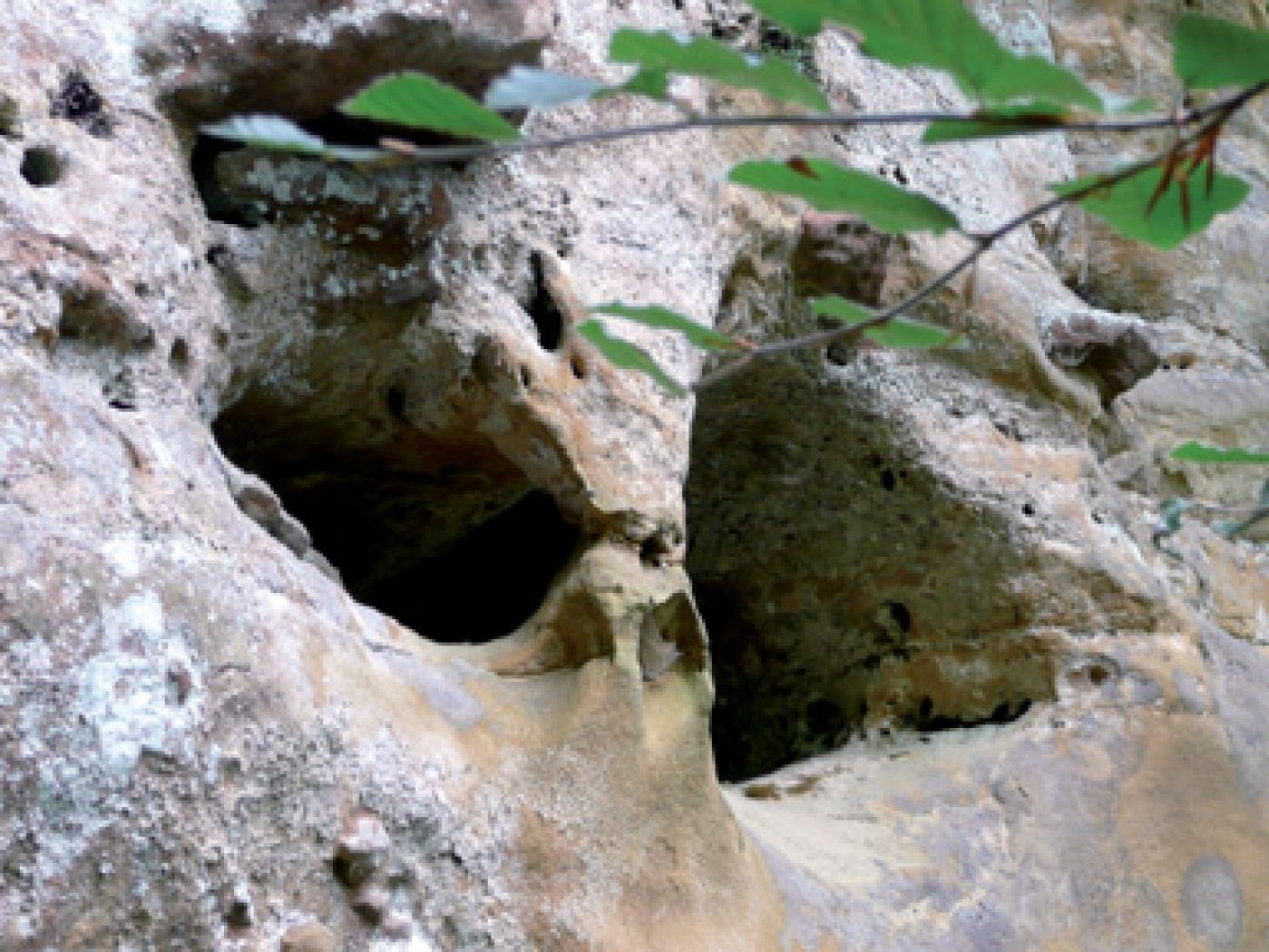 4ff5428837839 nommern grotte