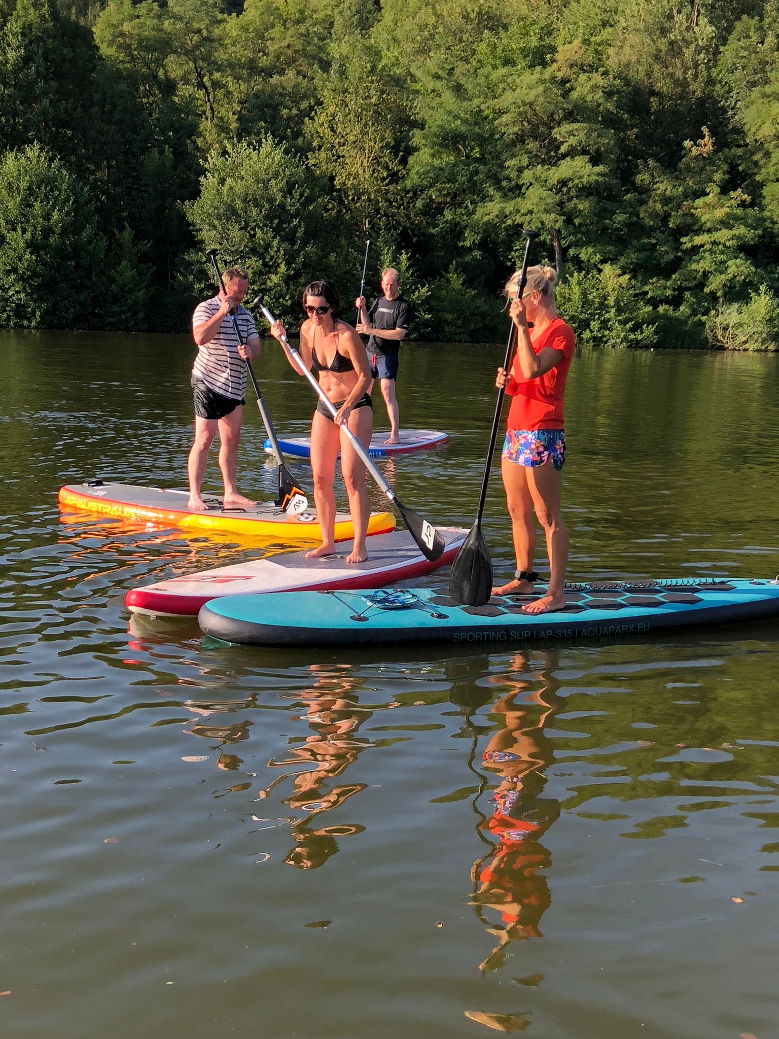 SUP Sauer Rosport