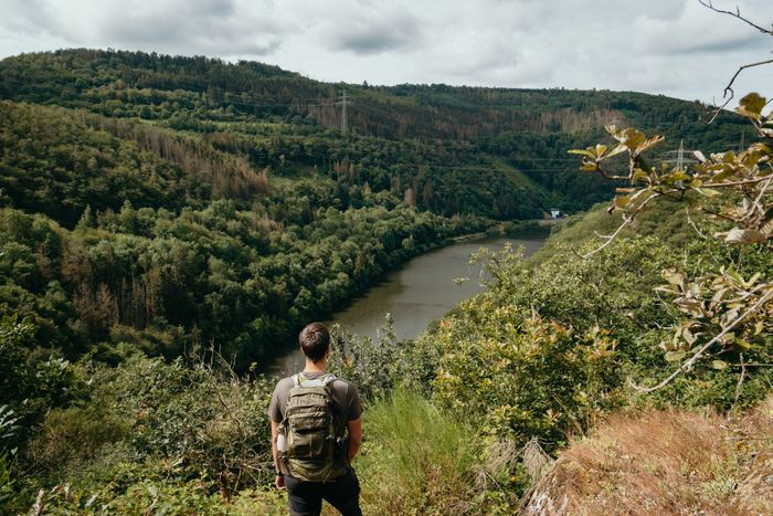 Un randonneur avec un sac à dos se tient à un point de vue le long du sentier PU1 à Bivels. En arrière-plan, la Sûre serpente à travers la forêt.