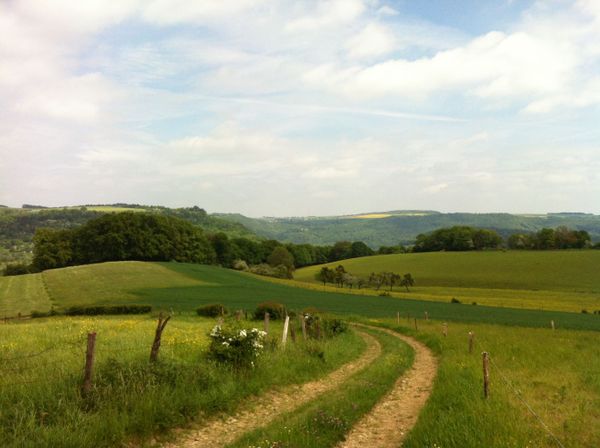 Se randonner sur le Mullerthal Trail Route 1