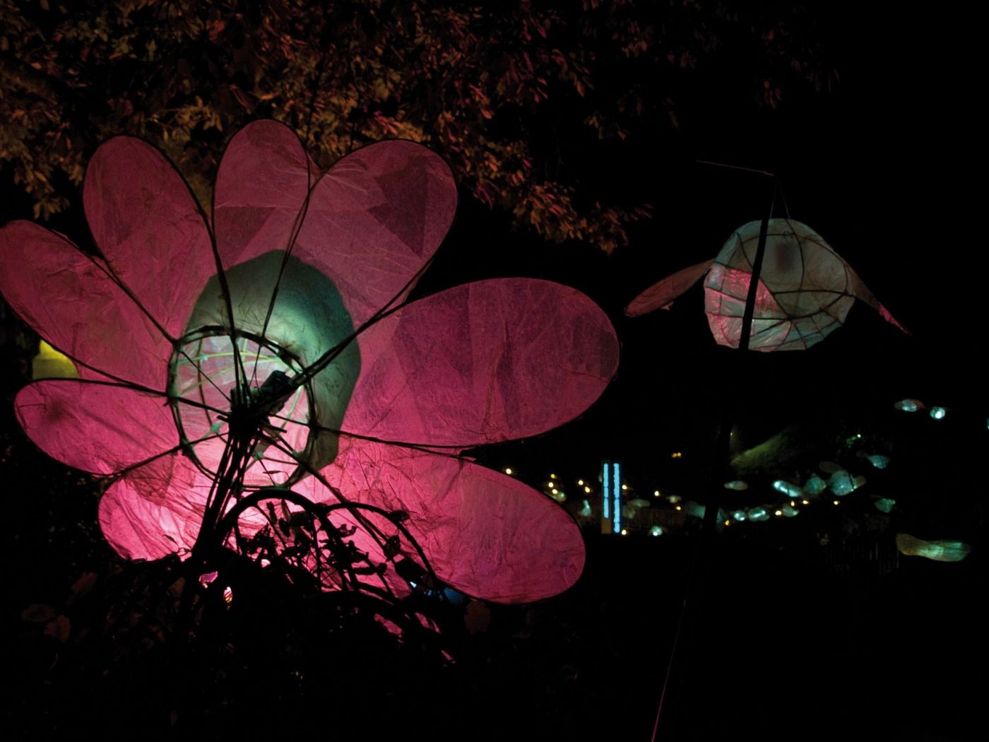 Nuit des Lampions