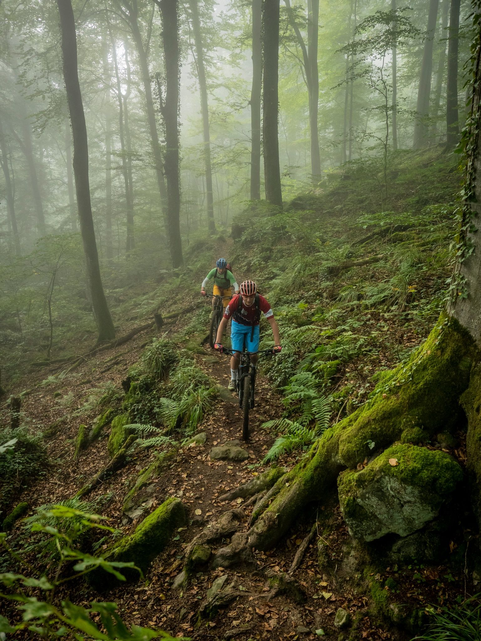 Mountainbike-Strecke Berdorf - Beaufort