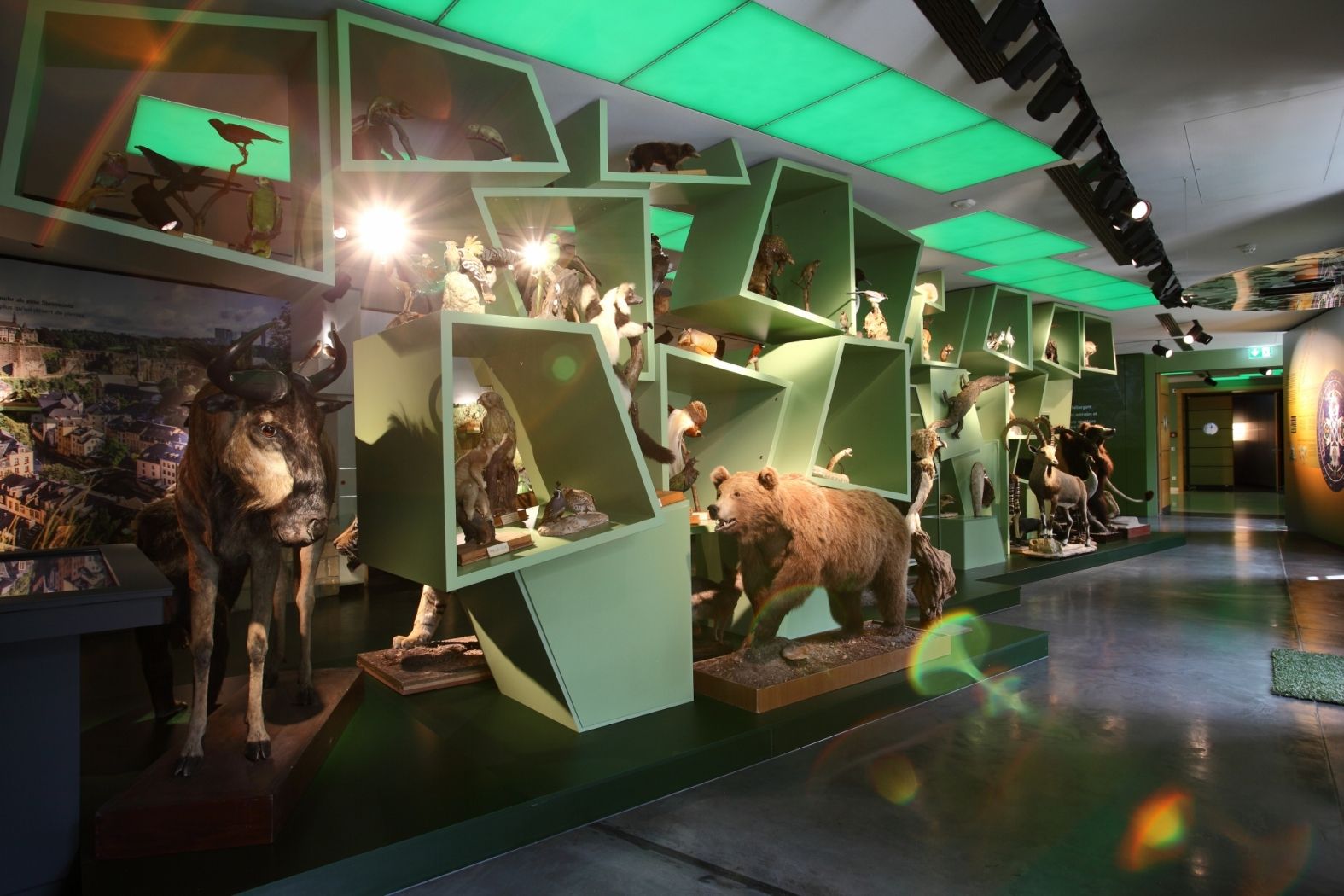 natur musée