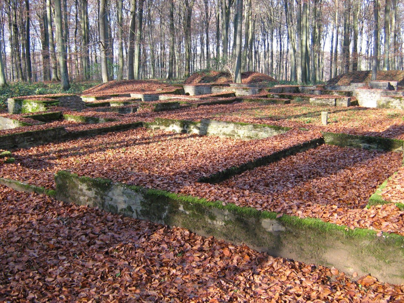 Roman villa Miecher 3