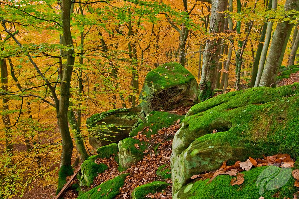 Felsen der Bildcheslay