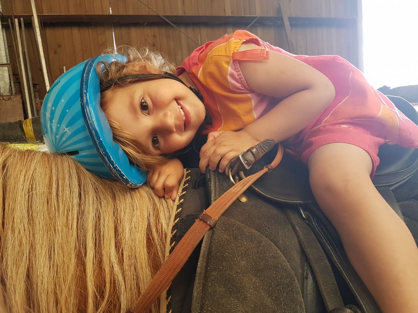 Iesel- an Ponyhaff Op der Weschheck Reckange