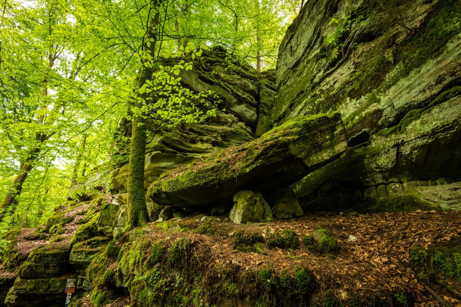 Felsenweg 3 Wollefsschlucht