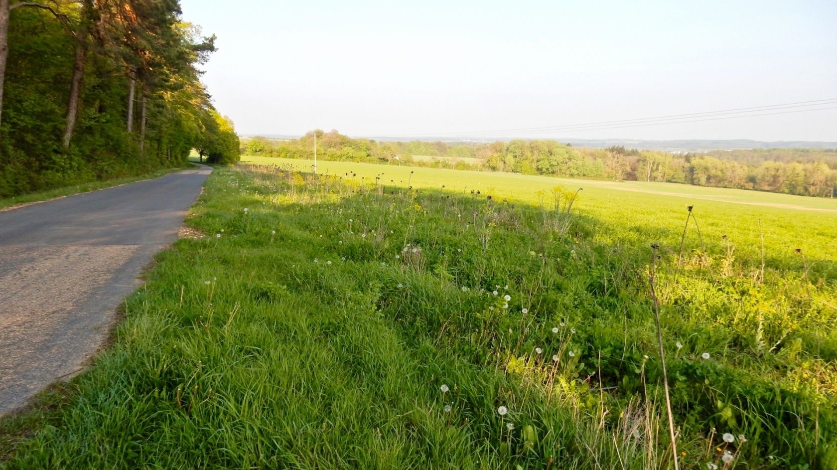 Landschaft