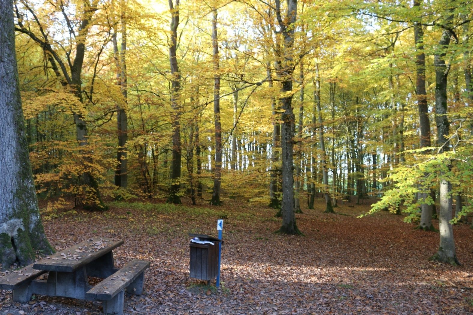berbourg 1