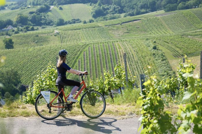 Rent-a-Bike Miselerland