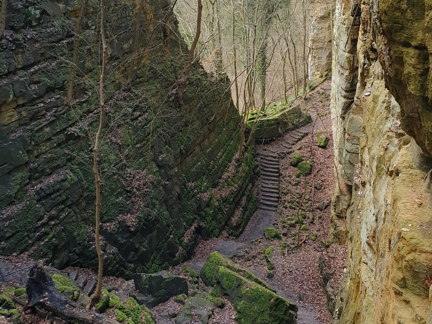 Rock formation - Wollefsschlucht