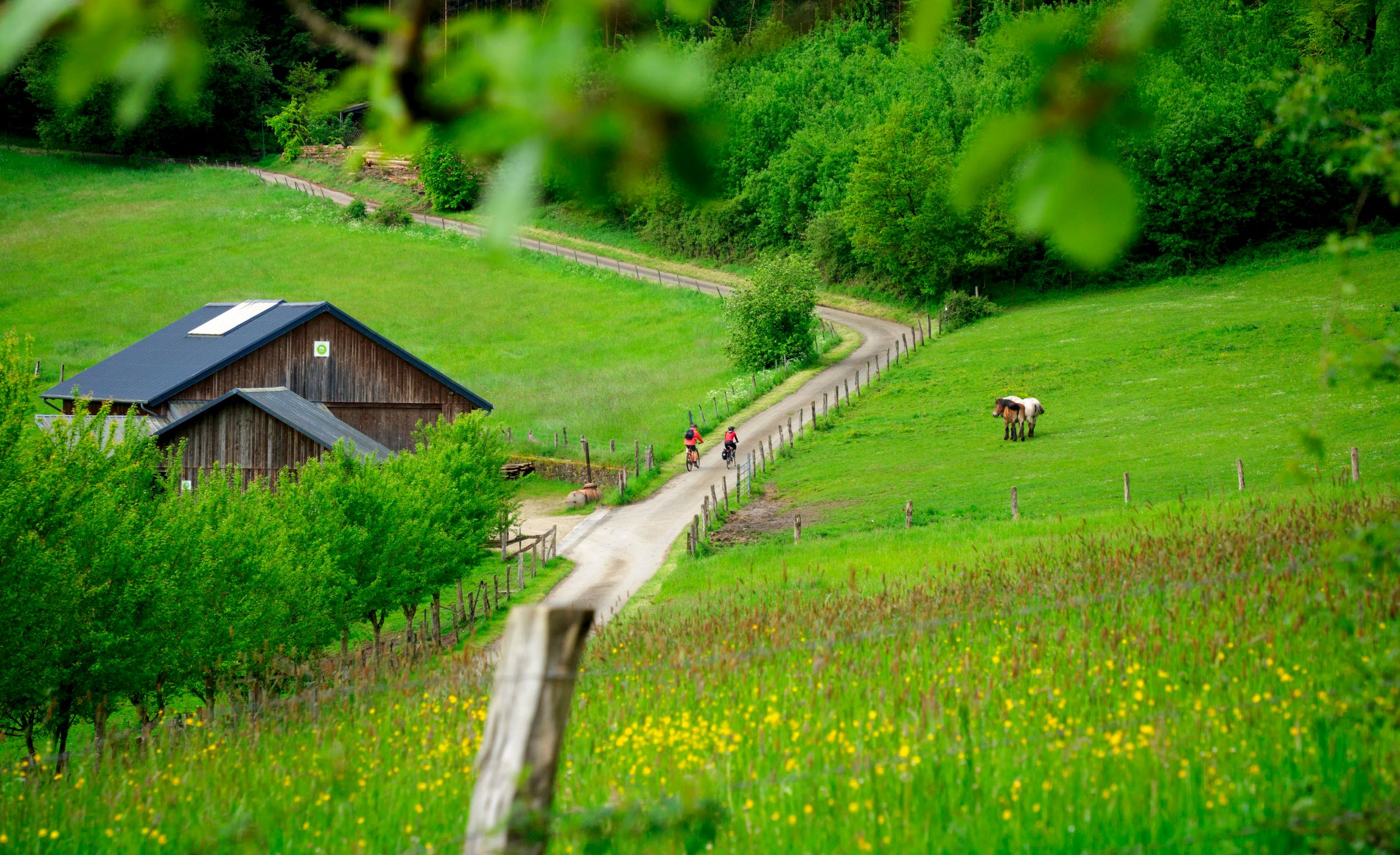 Campagne Guttland vélo