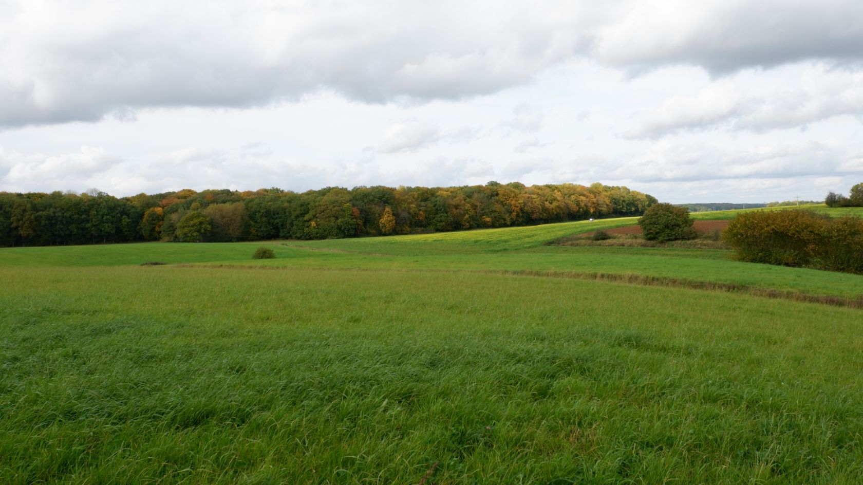 steekauzewee weiler la tour