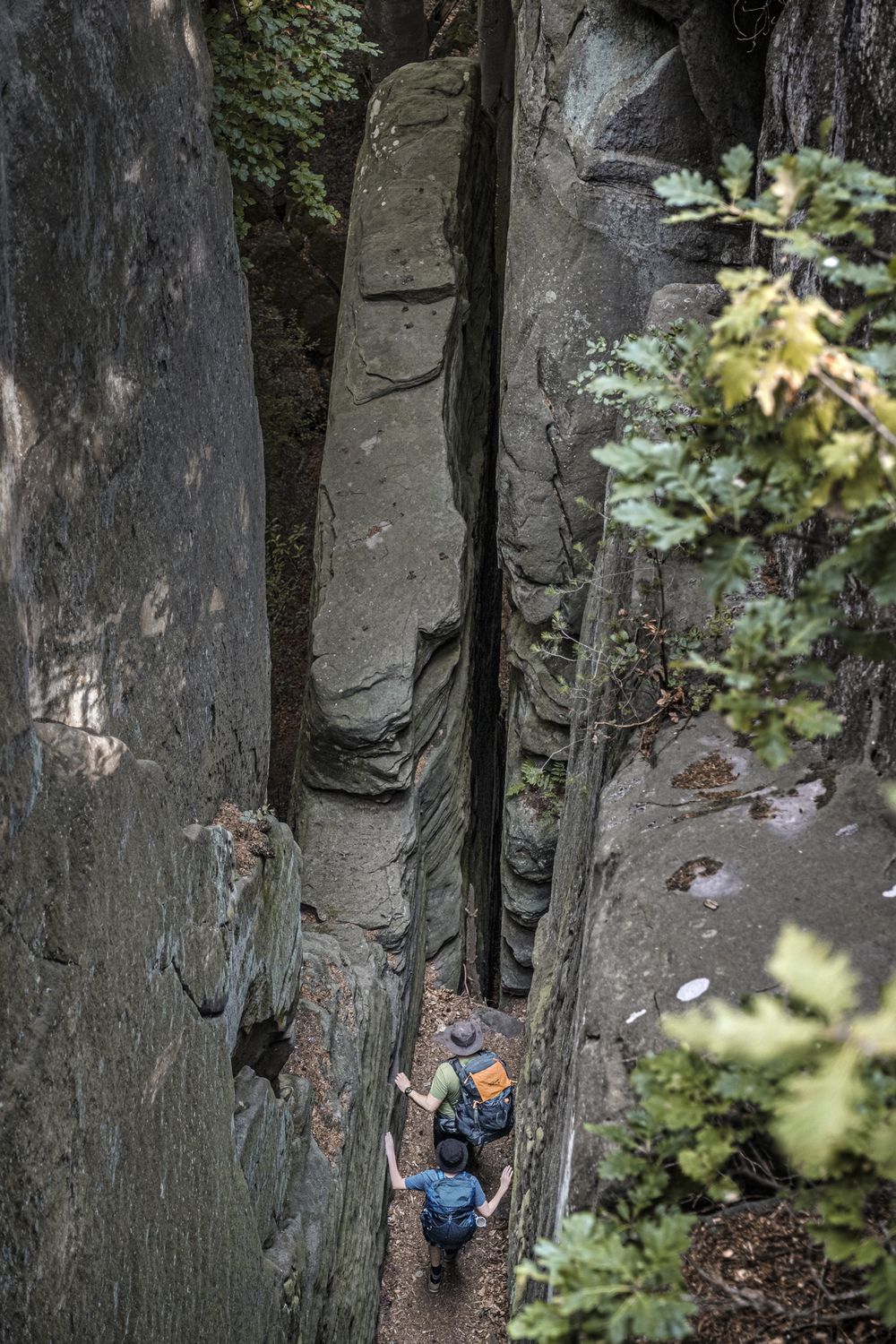 Mullerthal Trail Teufelsinsel