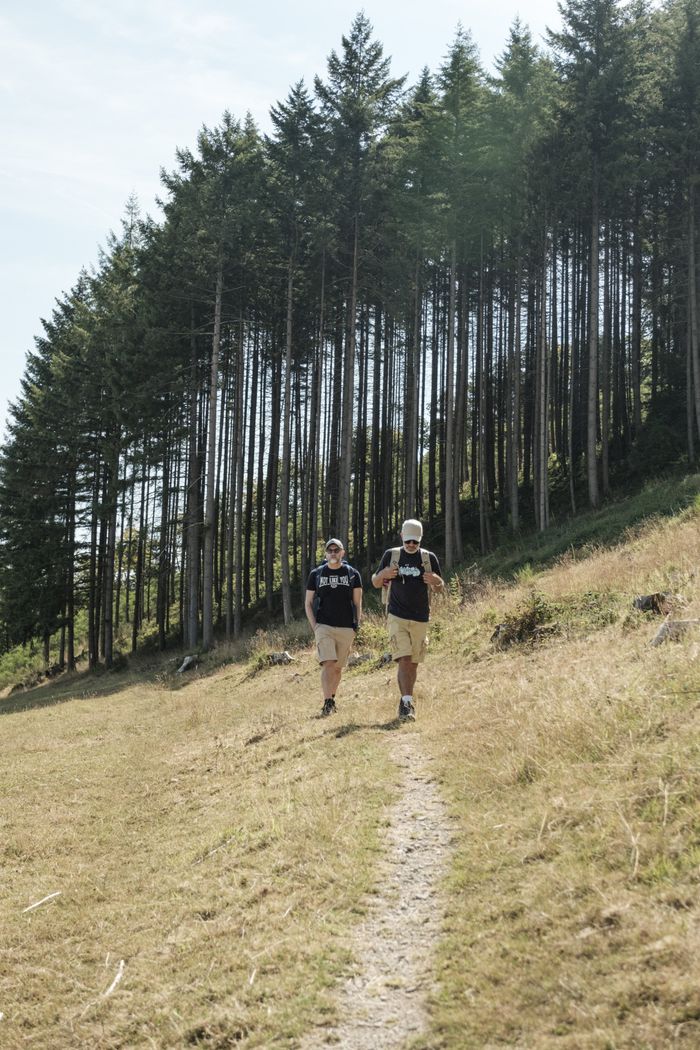 Bourscheid Wandern