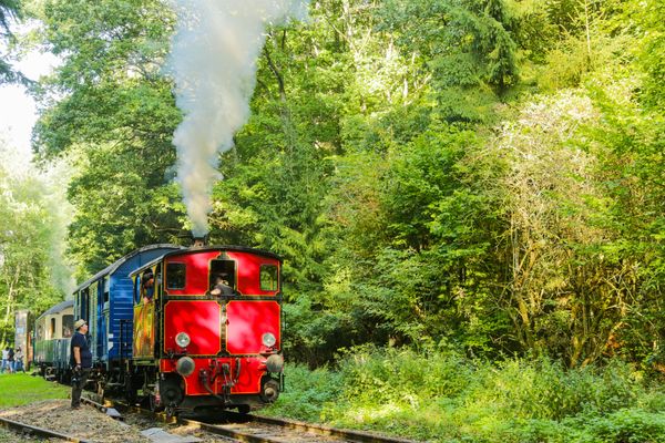 Train Minett Park