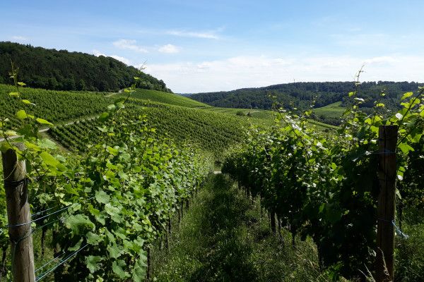 © Visit Moselle Luxembourg