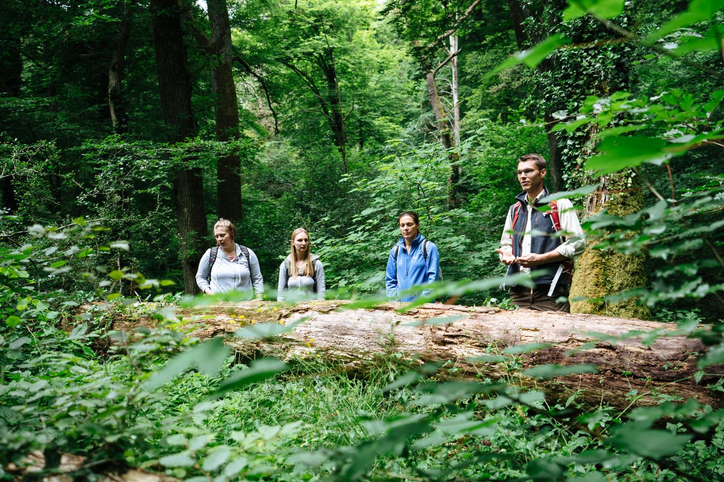 CFL Hiking trail Manternacher Fiels