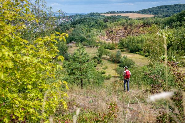 Nature reserve Haard Hesselsbierg Staebierg