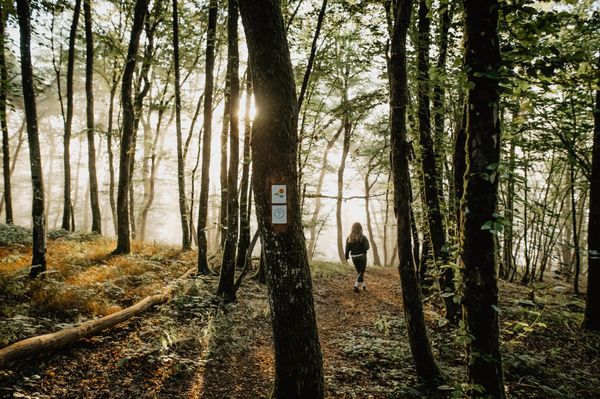 Femme en randonnée sur le sentier Éislek Pad Heinerscheid un matin brumeux au Luxembourg. 